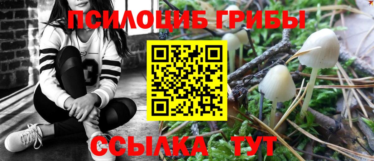 Псилоцибиновые грибы MAGIC MUSHROOMS Волгоград